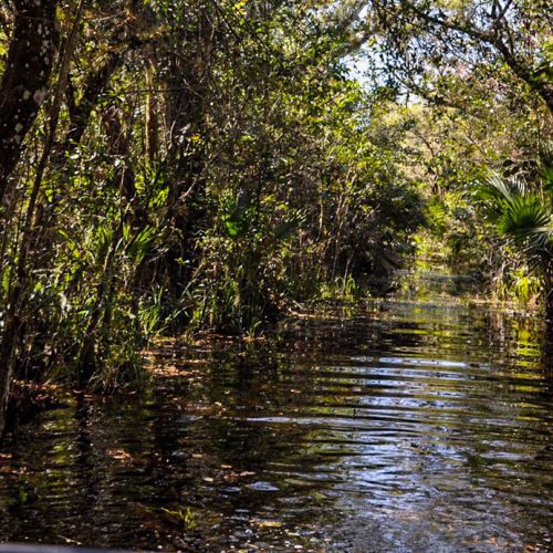 U.S. Army Corps of Engineers working to move more water south to Florida Bay