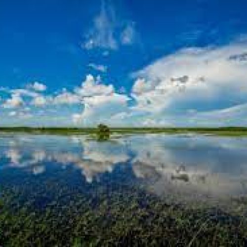 Removal of old Tamiami Trail roadbed opens new doors for Everglades revival