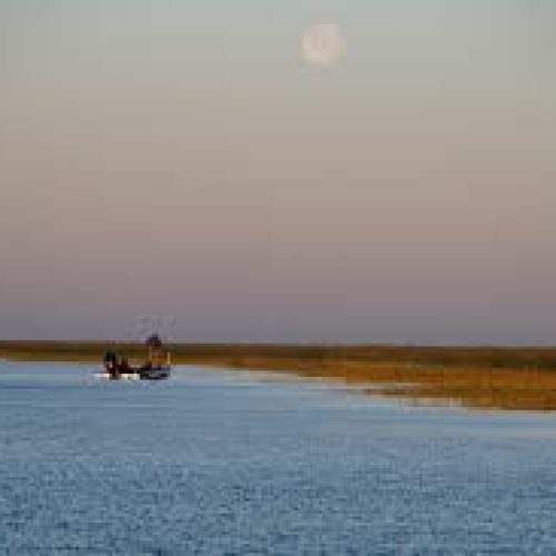 South Florida Water Management discusses Lake Okeechobee water release plans