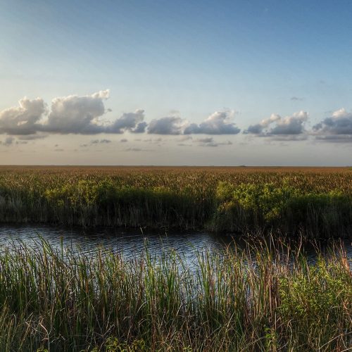 Stand-Off Between Indian Tribes and Army Engineers Threatening To Derail Everglades Restoration Work