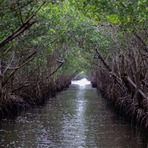 $100M project to bring more water to Everglades